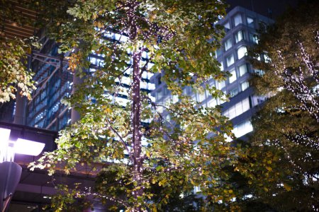Téléchargez les photos : Bâtiments modernes dans la ville du soir - en image libre de droit