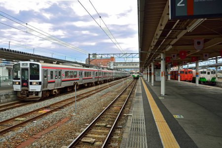 Téléchargez les photos : Train de voyageurs sur la gare bondée, vue de jour - en image libre de droit
