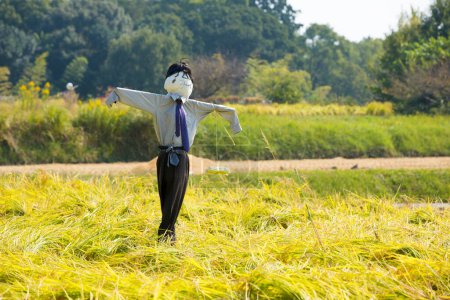 Photo for Scary Scarecrow in  field in the meadow  in Japan - Royalty Free Image