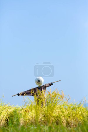 Épouvantail dans le champ dans la prairie sur ciel bleu au Japon