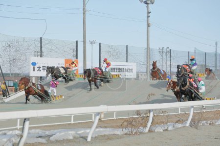 Foto de Banei keiba Carreras de caballos en Japón - Imagen libre de derechos