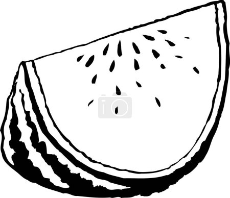 Photo for Sketch illustration of watermelon slice - Royalty Free Image