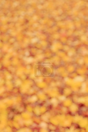 Photo for Blurred background of red autumn leaves - Royalty Free Image