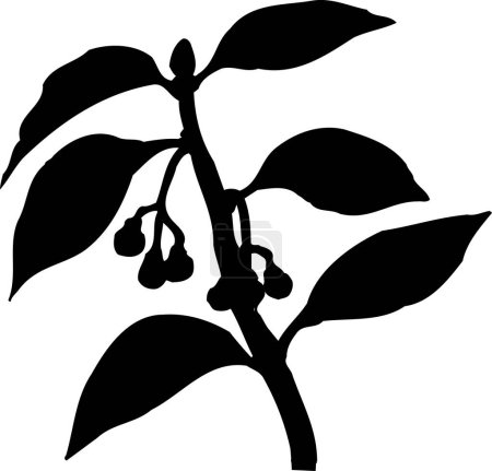 Téléchargez les photos : Silhouette florale noire isolée sur fond blanc - en image libre de droit