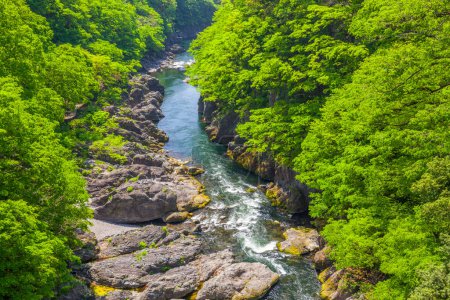 Téléchargez les photos : Beau paysage estival de cascade dans les montagnes - en image libre de droit