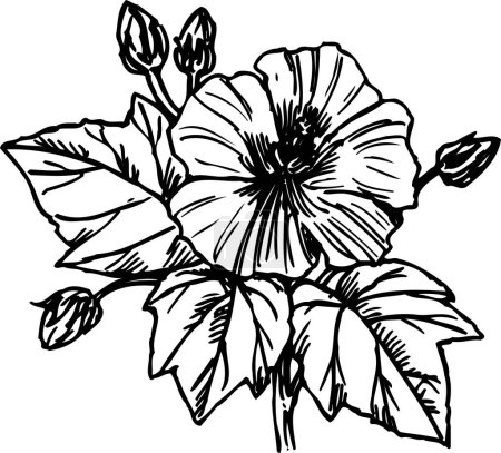 Téléchargez les photos : Croquis illustration de fleurs - en image libre de droit