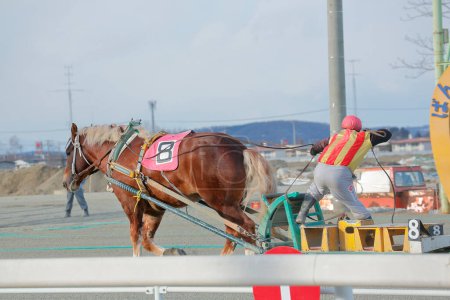 Téléchargez les photos : Banei keiba Courses de chevaux au Japon - en image libre de droit