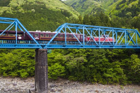 Foto de Tren en puente en las montañas con árboles verdes en el fondo - Imagen libre de derechos