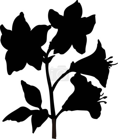 Téléchargez les photos : Silhouette florale noire isolée sur fond blanc - en image libre de droit