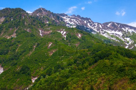Téléchargez les photos : Beau paysage avec montagnes, arbres verts et ciel bleu - en image libre de droit
