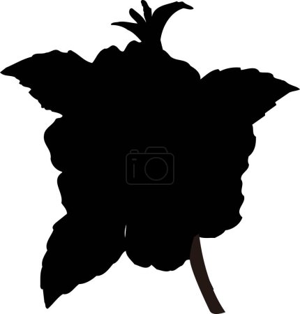 Foto de Silueta floral negra aislada sobre fondo blanco - Imagen libre de derechos