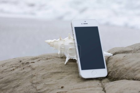 Photo for Sea shell and smartphone with blank screen on wet beach sand, copy space - Royalty Free Image