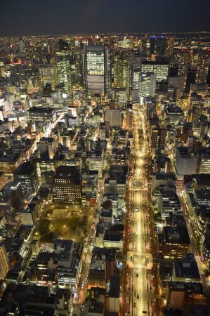 Foto de Paisaje nocturno por encima de la ciudad japonesa iluminada - Imagen libre de derechos