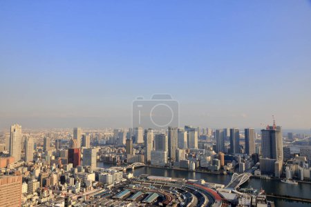 Photo for Aerial view of Tokyo city skyline, Japan - Royalty Free Image
