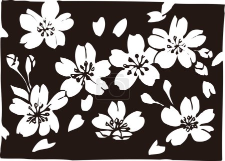 Foto de Flores negras sobre fondo blanco, planta aislada - Imagen libre de derechos