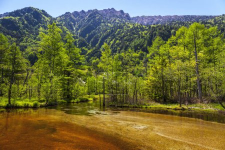 Téléchargez les photos : Vue sur la rivière dans les montagnes - en image libre de droit