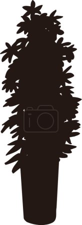 Foto de Silueta floral negra aislada sobre fondo blanco - Imagen libre de derechos