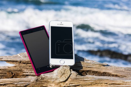 Téléchargez les photos : Smartphones avec écrans vides sur le tronc d'arbre au bord de la mer, espace de copie - en image libre de droit