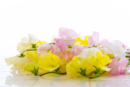 Photo for Closeup of colorful flowers on white background - Royalty Free Image