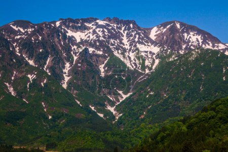 Téléchargez les photos : Beau paysage avec montagnes, arbres verts et ciel bleu - en image libre de droit