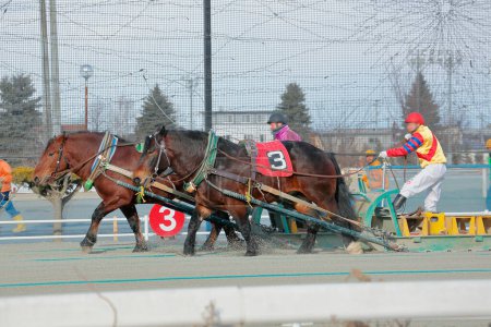 Téléchargez les photos : Banei keiba Courses de chevaux au Japon - en image libre de droit