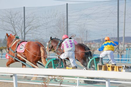 Foto de Banei keiba Carreras de caballos en Japón - Imagen libre de derechos