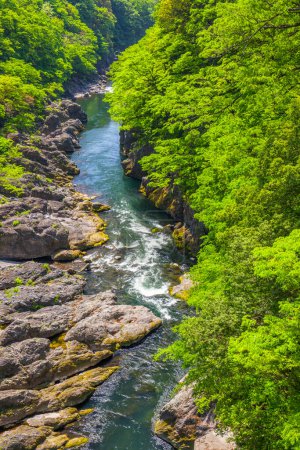Téléchargez les photos : Beau paysage estival de cascade dans les montagnes - en image libre de droit