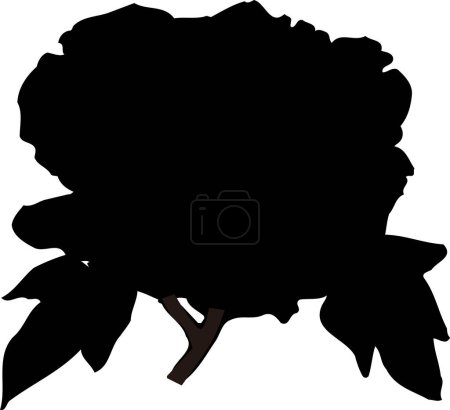 Photo for Black Floral Silhouette Isolated on White background - Royalty Free Image