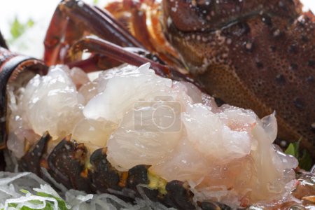 Téléchargez les photos : Assiette de nourriture avec homard et autres fruits de mer - en image libre de droit