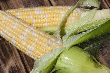 Photo for Fresh corn cobs on wooden background - Royalty Free Image
