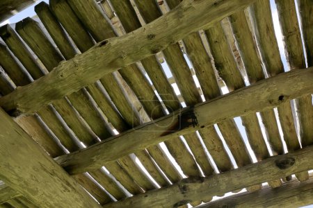 structure de tour en bois à San'nai-Maruyama iseki Site historique spécial dans la ville d'Aomori dans la préfecture centrale d'Aomori, Japon. Le site du règlement, point de repère historique