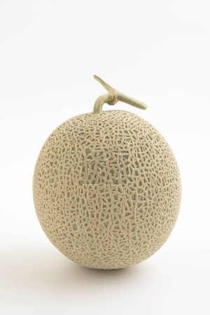 Téléchargez les photos : Melon mûr frais sur fond blanc - en image libre de droit