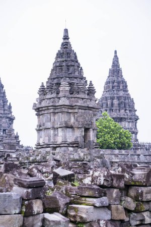 Foto de Vista del templo hindú de Prambanan compuesto en la región especial de Yogyakarta, en Java meridional, Indonesia, dedicado al Trimurti, la expresión de dios como el creador (Brahma), el preservador (Vishnu) y el destructor (Shiva) - Imagen libre de derechos