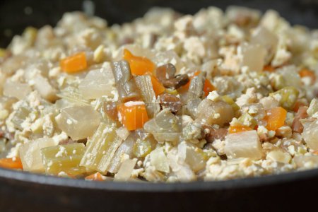 khichri, un plato en la cocina del sur de Asia hecho de arroz, verduras y lentejas