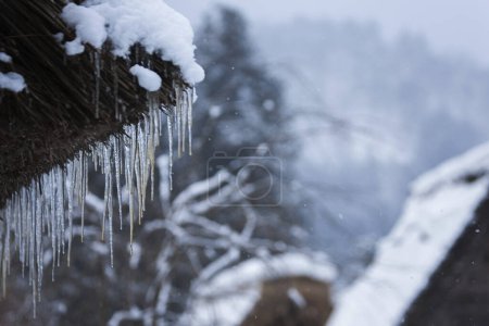 Téléchargez les photos : Glaçons suspendus à un arbre en hiver - en image libre de droit