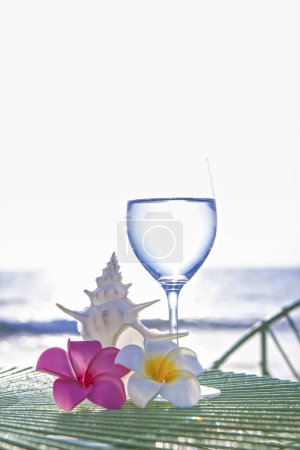 Foto de Fondo de verano con plumeria flores, concha y copa de vino con agua en la playa - Imagen libre de derechos