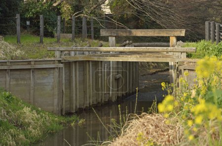 Foto de Puente viejo sobre el río en el parque de la ciudad - Imagen libre de derechos