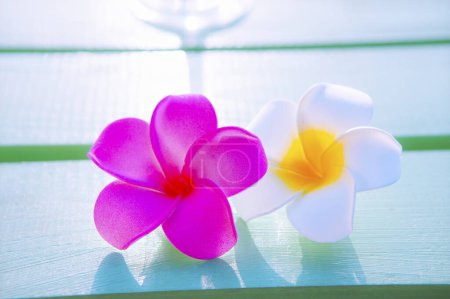 Photo for Summer background with plumeria flowers on the beach - Royalty Free Image