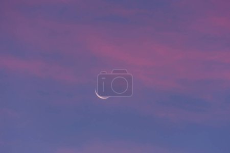 Foto de Vista de la luna en el cielo rosado. - Imagen libre de derechos