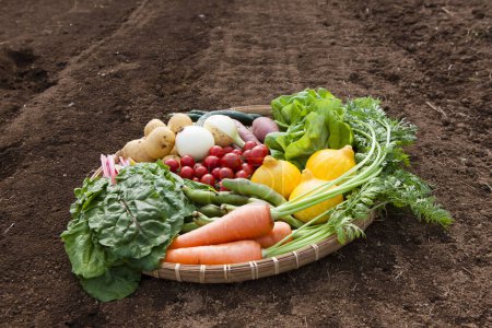 Photo for A lot of fresh vegetables in a wooden box, top view - Royalty Free Image