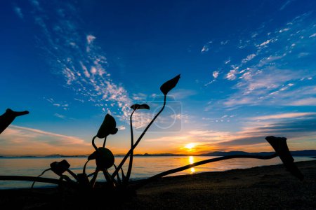 Téléchargez les photos : Magnifique coucher de soleil dans le lac ober ciel bleu - en image libre de droit
