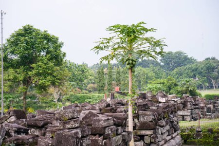 ruinas del templo en Java, Indonesia