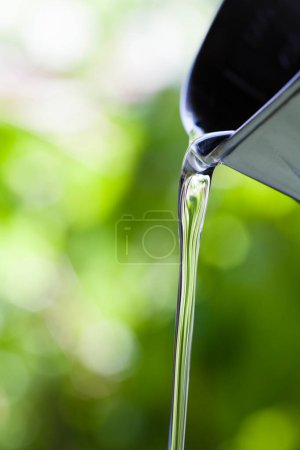 Foto de Verter aceite verde de la botella, macro - Imagen libre de derechos