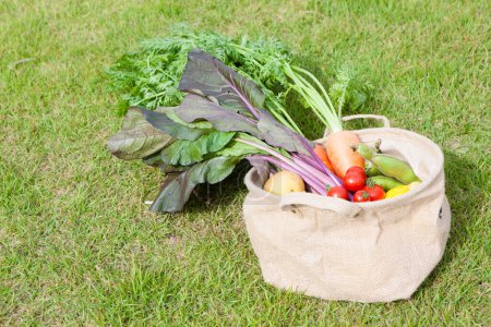 Foto de Verduras frescas en el jardín, alimentación saludable. verduras orgánicas. el concepto de la dieta saludable, alimentos ecológicos, cero residuos. - Imagen libre de derechos