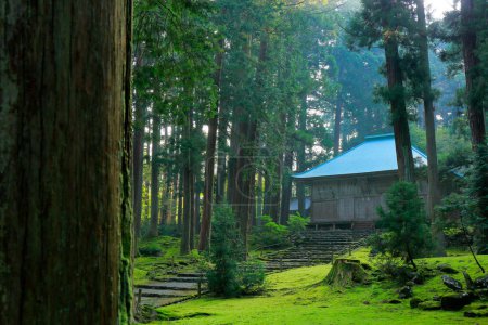 Téléchargez les photos : Plan panoramique de l'ancien temple japonais dans une belle forêt verte brumeuse - en image libre de droit