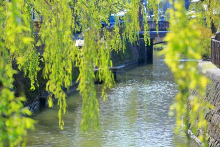 Téléchargez les photos : Belle vue sur la rivière dans le parc de la ville - en image libre de droit