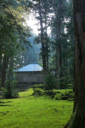 Foto de Plano escénico del antiguo templo japonés en el hermoso bosque verde brumoso - Imagen libre de derechos