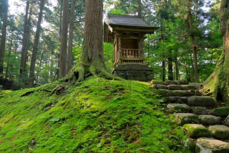 Téléchargez les photos : Japonais escaliers en bois avec forêt verte au Japon - en image libre de droit