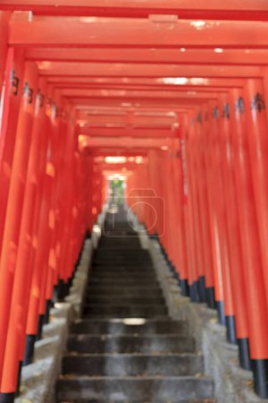 Red Torii gates leading to the shrine.