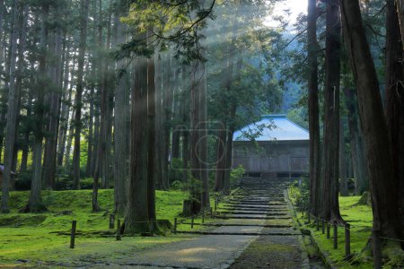 Foto de Plano escénico del antiguo templo japonés en el hermoso bosque verde brumoso - Imagen libre de derechos